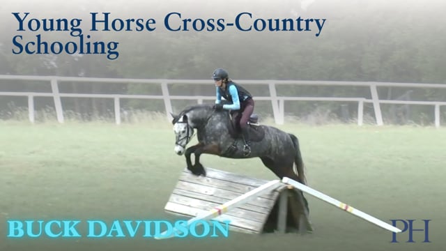 Young Horse Cross-Country Schooling | Buck Davidson