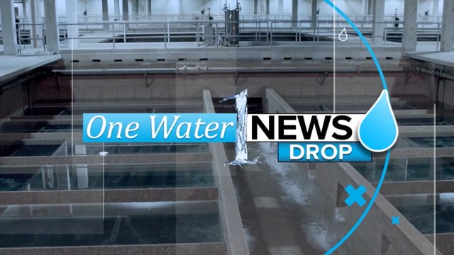 vimeo-video-thumbnail