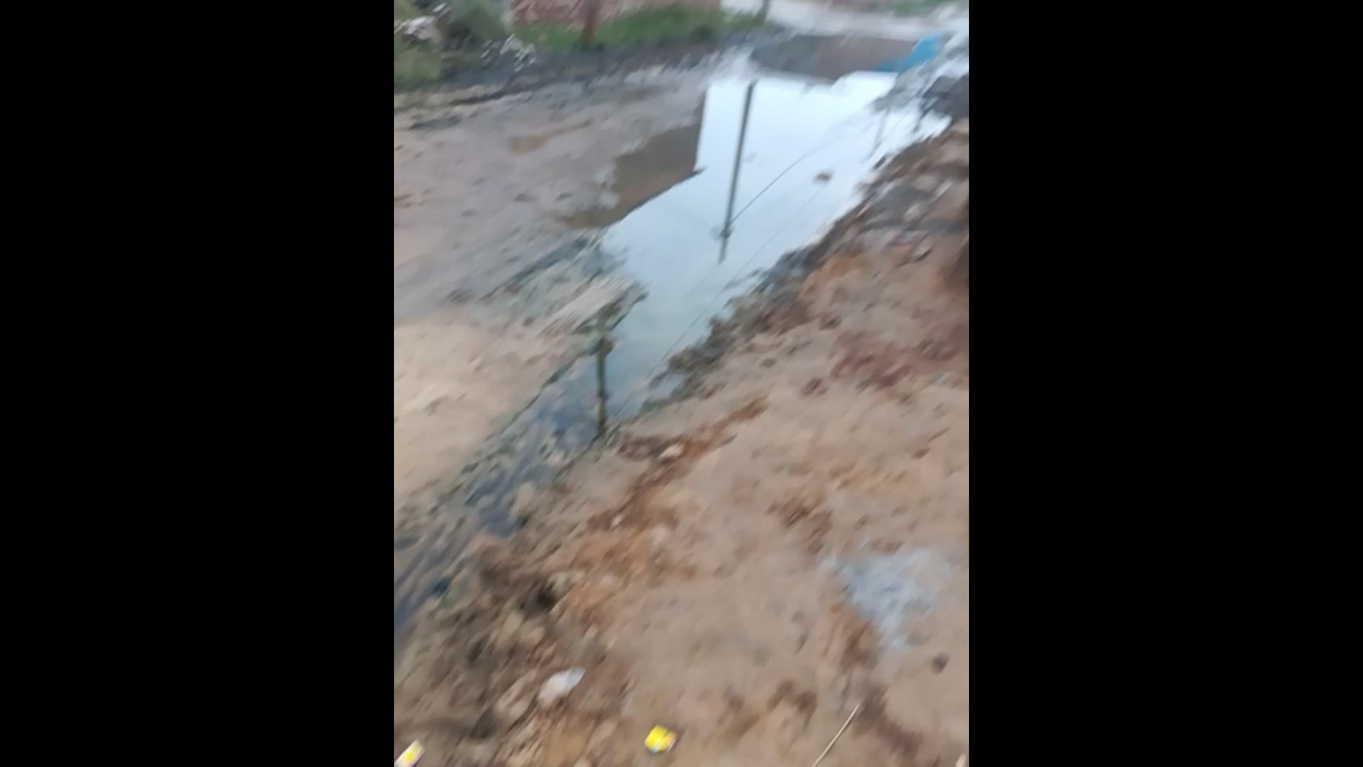 BAAD कान्हा माखन स्कूल कॉलेज@@# 
