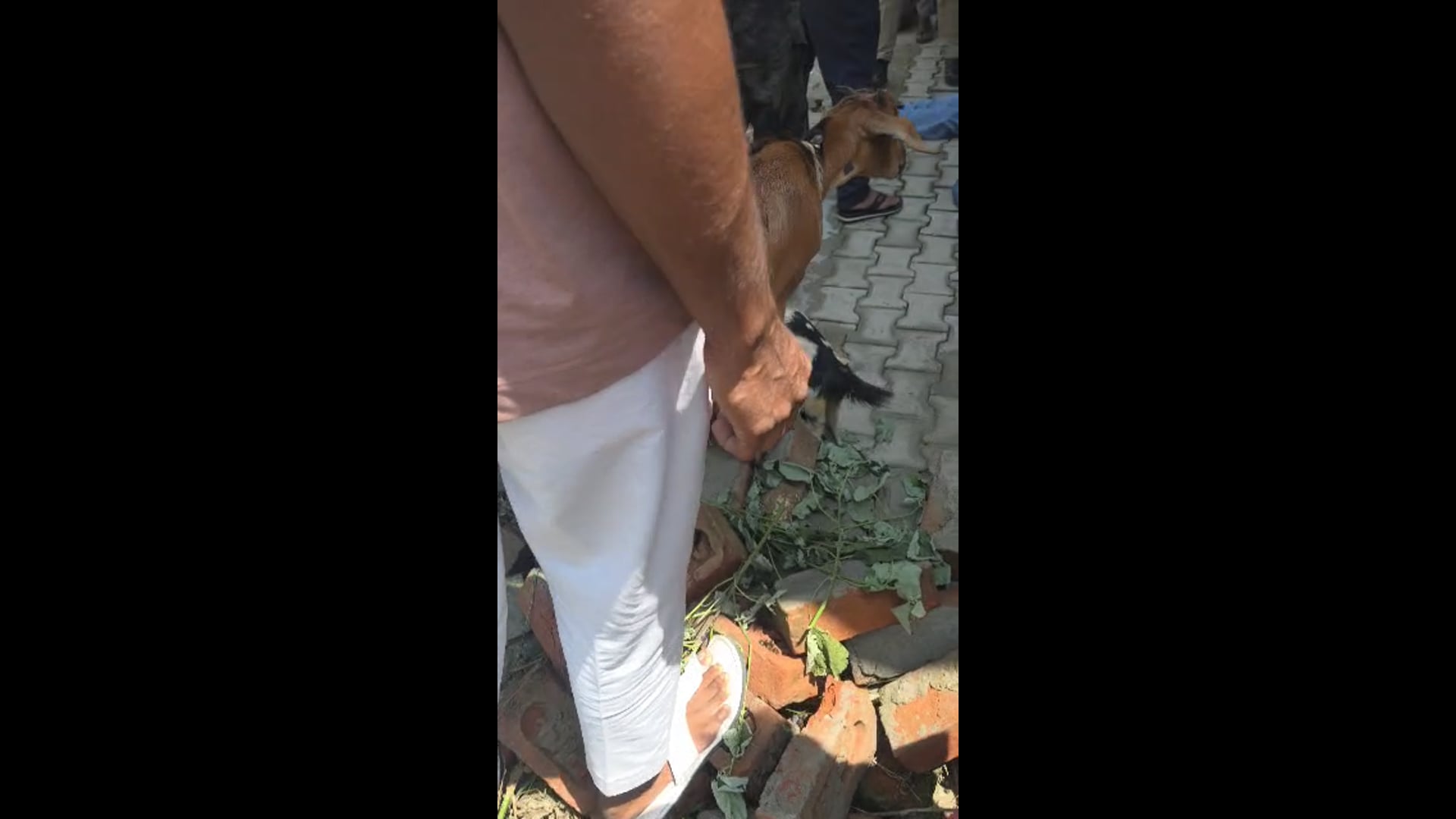 दुधवा रोड पर बाइक-कार की भीषण टक्कर, दो की मौत, तीन घायल, ग्राम फरसैया टांडा के पास हुआ हादसा