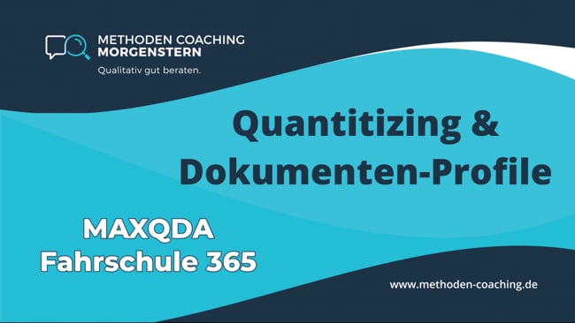Quantitizing & Dokumenten-Profile | Codes in Variablen transformieren