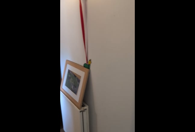 Spacious single room with shared bathroom  Main Photo