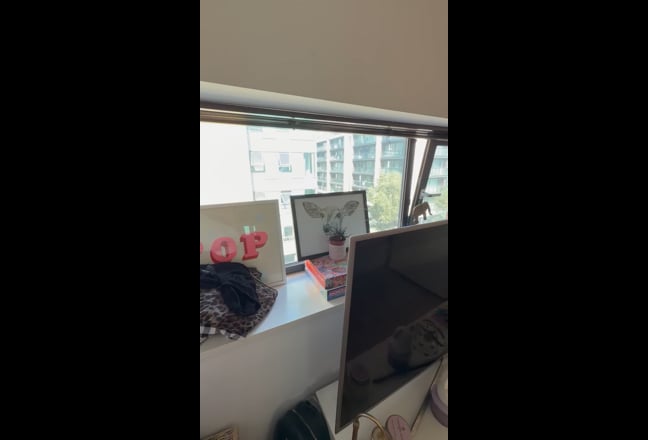 Video 1: 