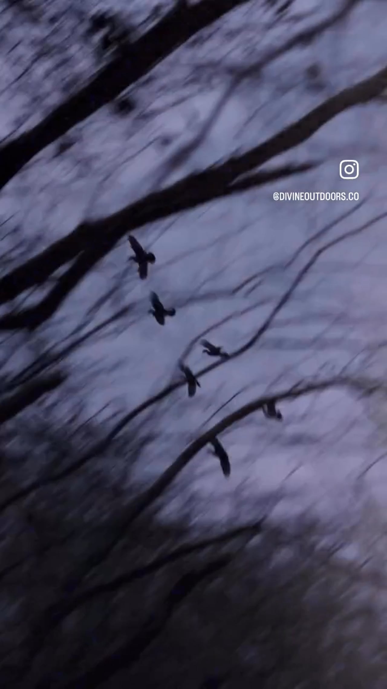 Public Land 2025 video thumbnail