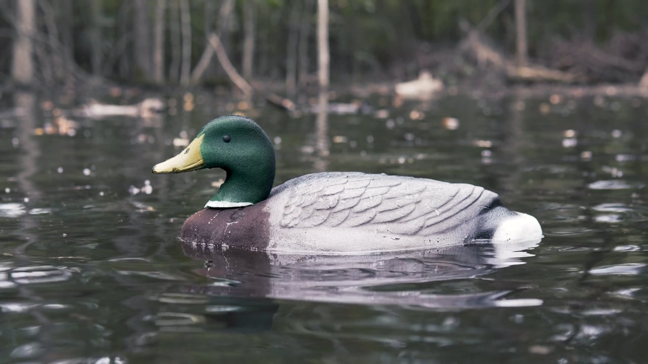 Ordek Waterfowl Decoy Promo video thumbnail