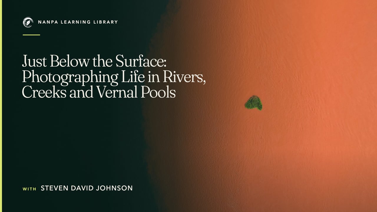 Just Below the Surface: Photographing Life in Rivers, Creeks and Vernal Pools