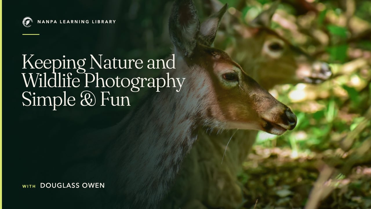 Keeping Nature and Wildlife Photography Simple & Fun