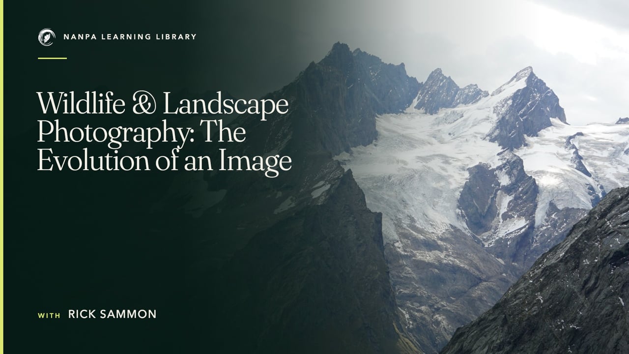 Wildlife & Landscape Photography: The Evolution of an Image
