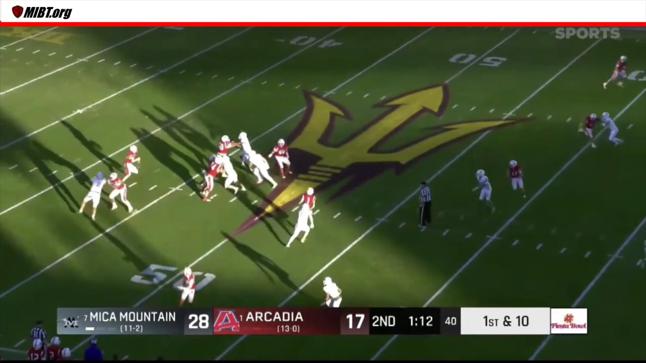 Facemask called by referee appears more of a horse collar but marginal at that