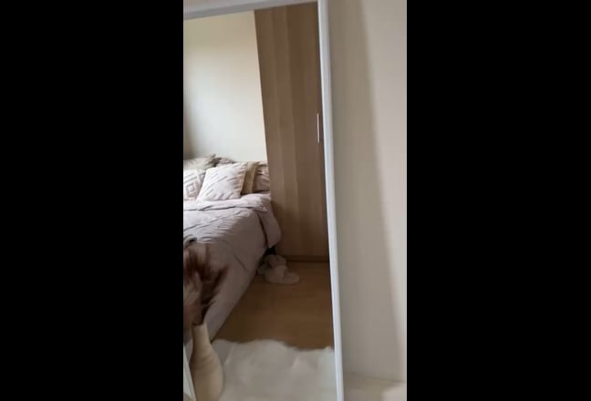 Renovated double room in a clean flat Main Photo
