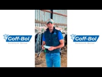 “Goff-Bol nos ayuda a prevenir la hipocalcemia y la fiebre puerperal, y resulta muy beneficioso en el arranque de las vacas"
