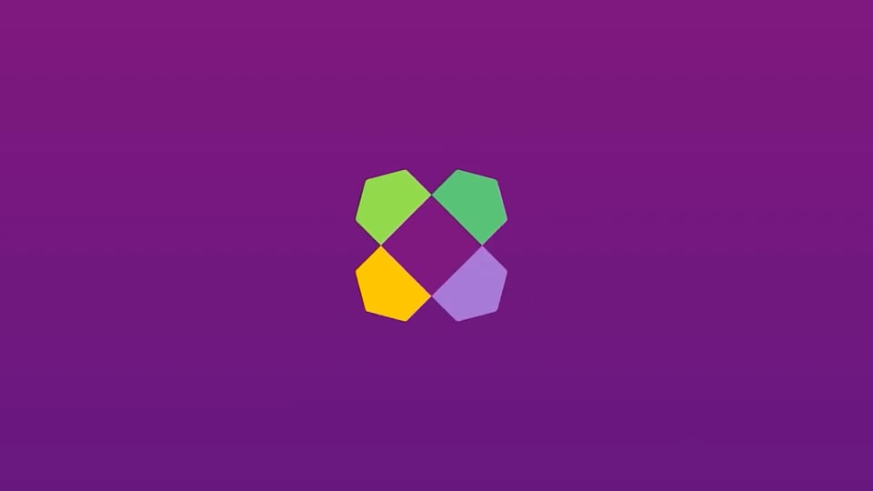 Wayfair Brand_Case Film
