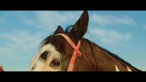Related Embedded Video Item Thumbnail