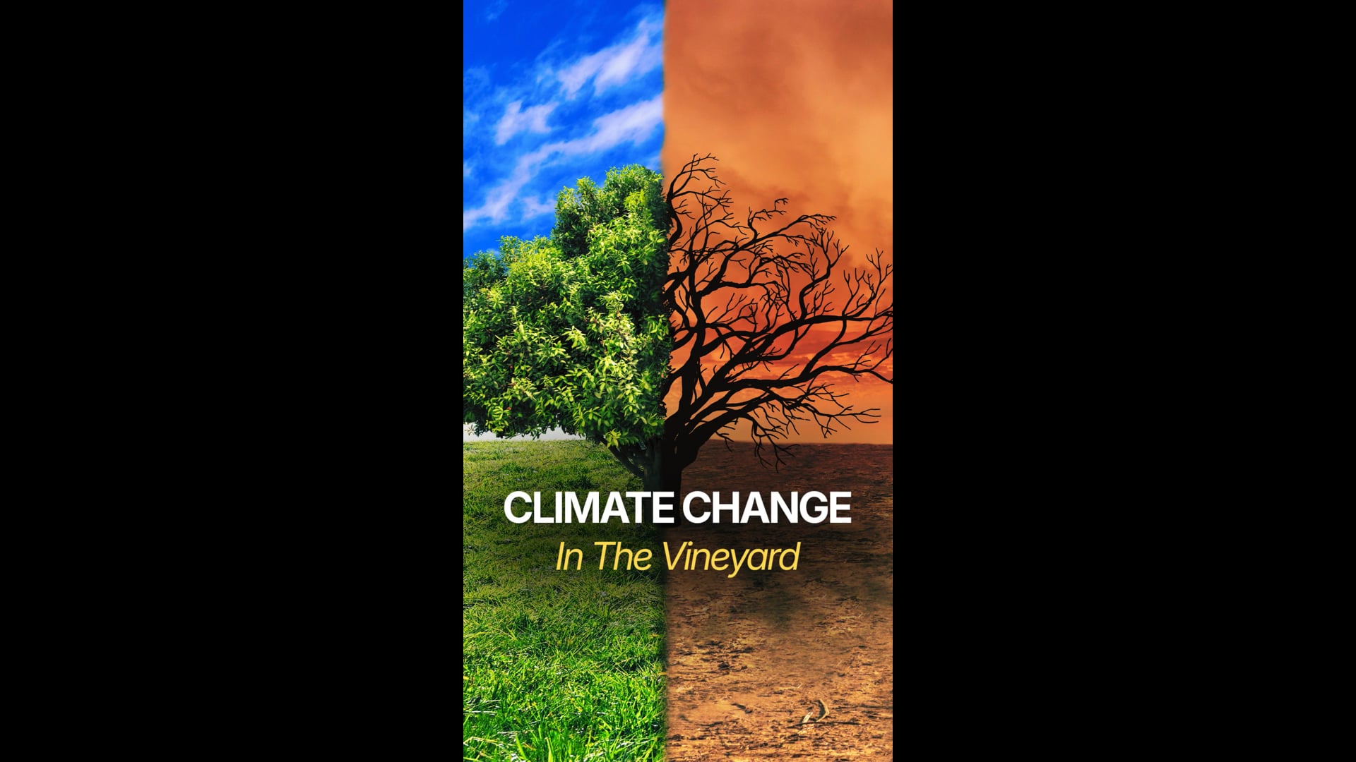 Climate Change in the Vineyard