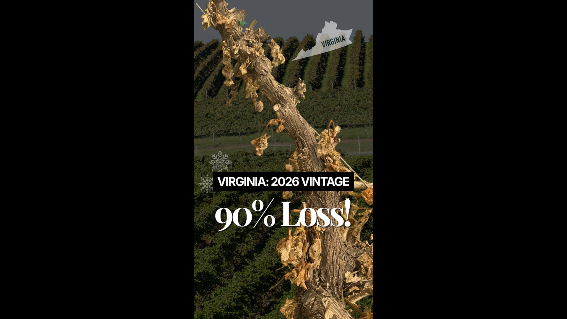 Wines of Virginia Facing Challenges