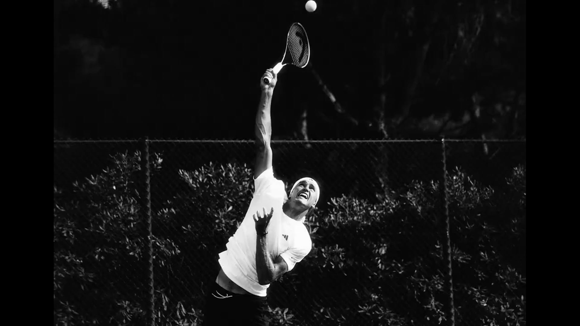 ALEXANDER ZVEREV - MiniMed DC