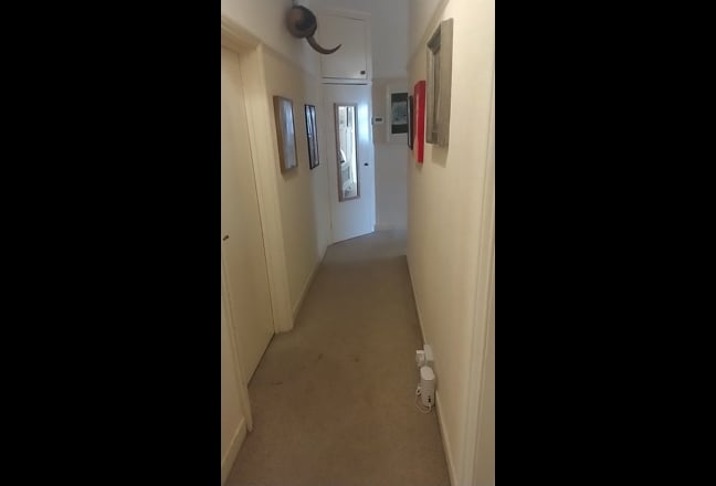 Video 1: 