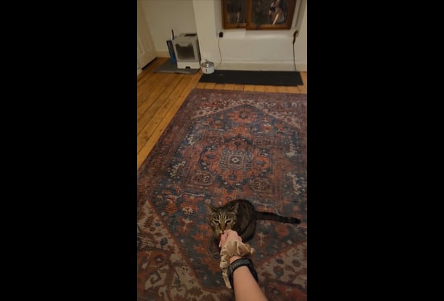 Video 1: 