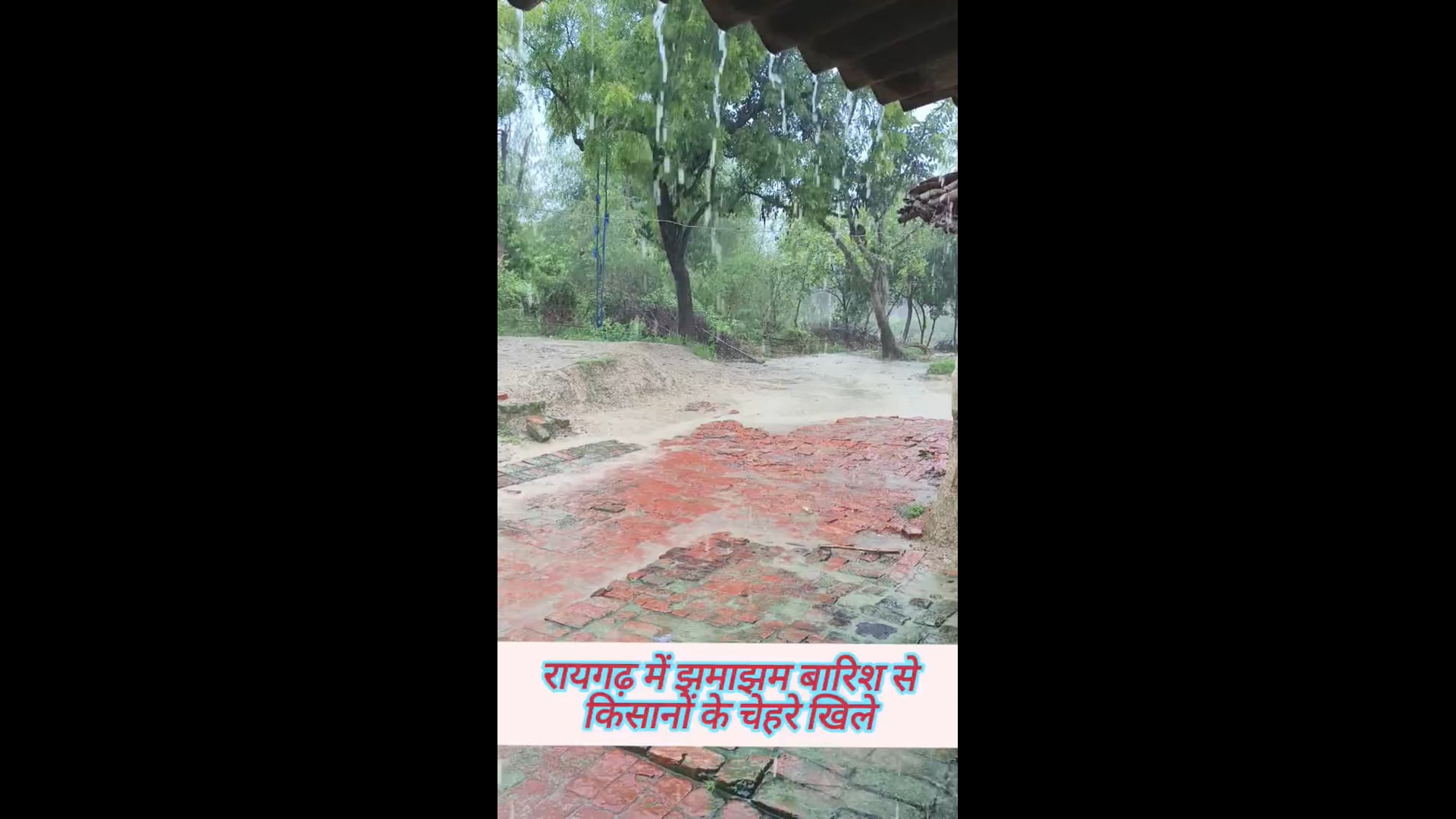 ब्लॉक बाबागंज रायगढ़ में मंगलवार, 18 अगस्त 2026 को हुई झमाझम बारिश से ग्रामीणों और किसानों के चेहरे खिले #latest_news 
