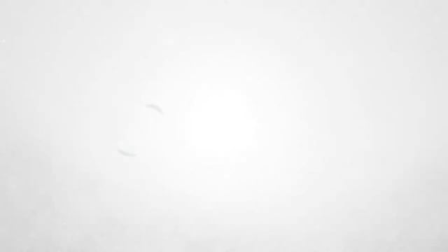 Cubby Care Early Learning Centre Condon video thumbnail 11