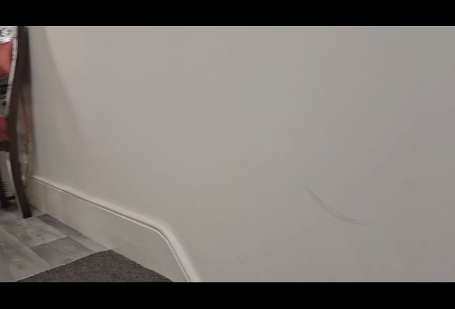 Video 1: 
