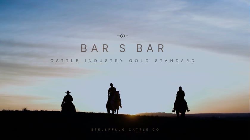 vimeo-video-thumbnail