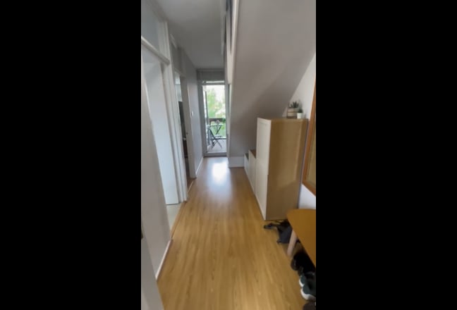 Video 1: 