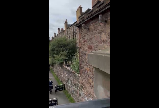 Video 1: 