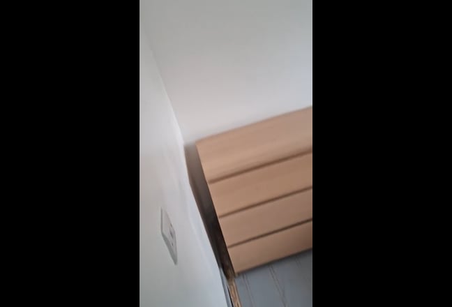 Video 1: 