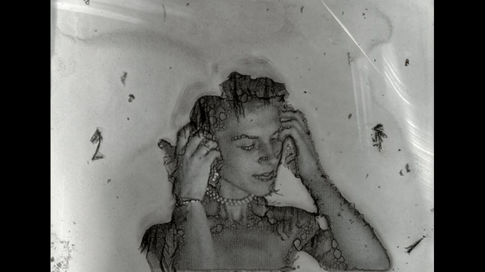 Paris Model