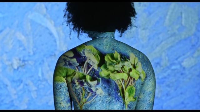 Still 2