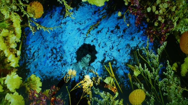 Still 1