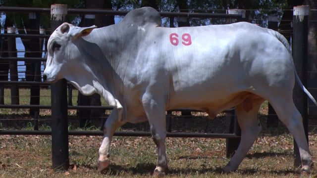Lote 69
