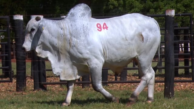 Lote 94
