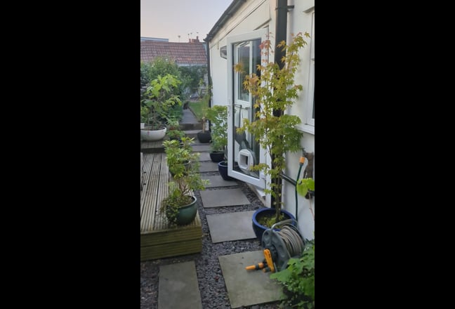 Video 1: 