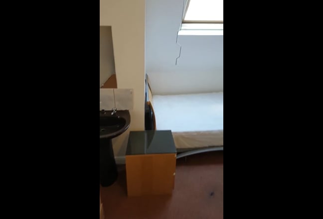 Video 1: Garden 