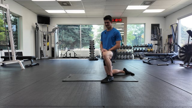 Quadruped Active T Rotations