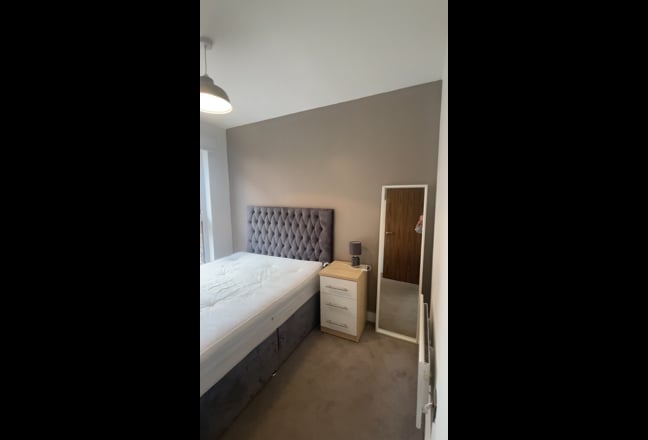 Need a new housemate!! Main Photo