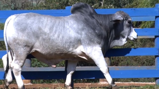 Lote 28