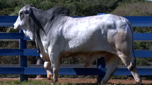 Lote 09