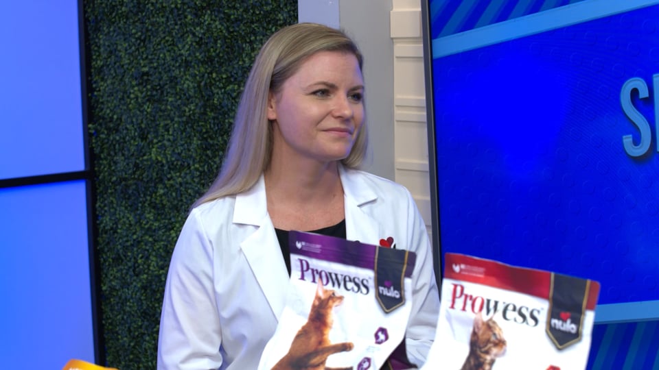 Smarter Nutrition for Modern Cats: A Closer Look at Nulo Prowess