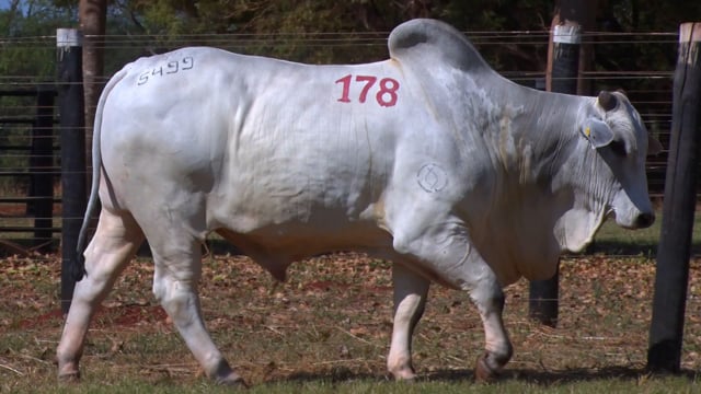 Lote 178