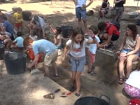 El Projecte Educatiu del MAC guanya el Carles Miralles dels Premis Auriga 2026