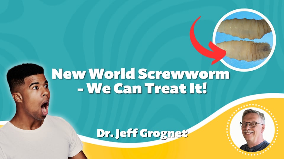 New World Screwworm - We Can Treat It!