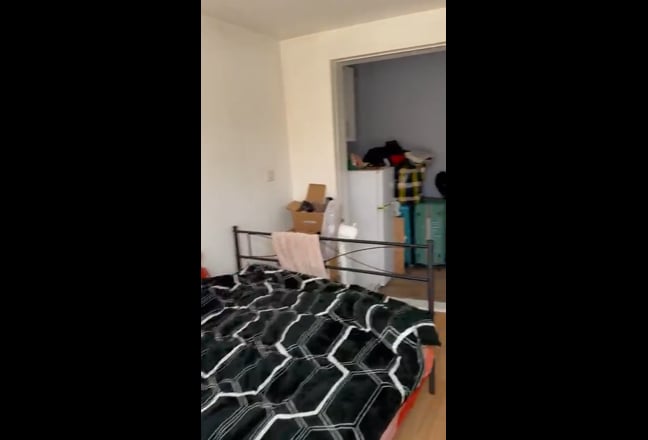 Video 1: 
