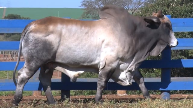 Lote 02