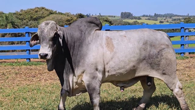 Lote 05