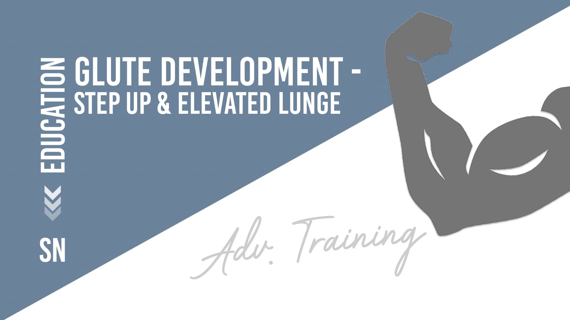 Glute Development - Step Up & Elevated Lunge