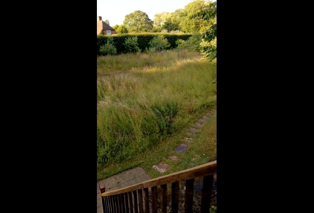 Video 1: Living-/bedroom