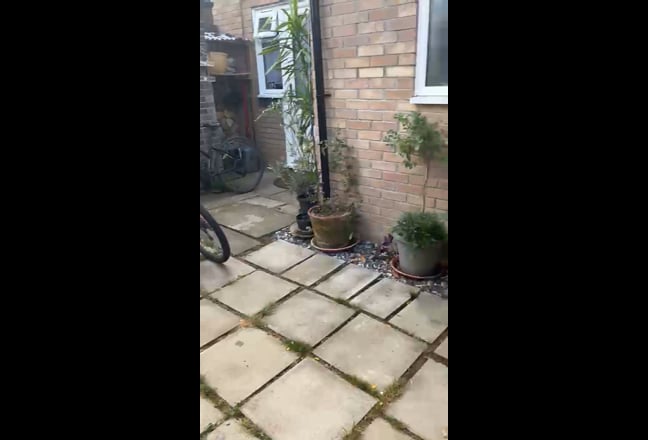Flat for rent Main Photo